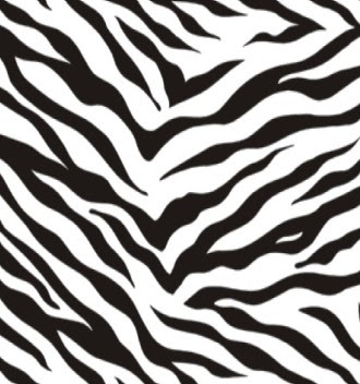 Basic Photography Techniques - Pattern, Volume, Lighting