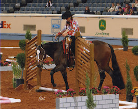 AQHA World Championship Show: Patterns