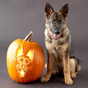 Pumpkin Stencils: Scary Pumpkin Stencils | Playsational