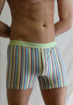 Boxer Briefs - The Underwear Expert - Men's Underwear Blog