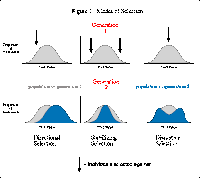 IEEE Xplore: Pattern Analysis and Machine Intelligence