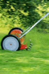 How High To Mow Your Lawn | Bayer Advanced