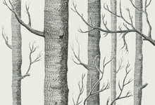 birch tree wallpaper | eBay - Electronics, Cars, Fashion