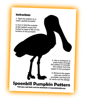 PUMPKIN MASTERS Pattern List - Masterpiece Pumpkins