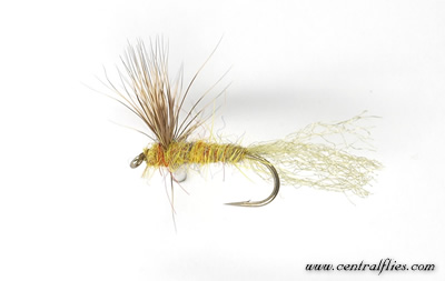Adult Caddisflies | Caddis Dry Flies | Fly Fishing -- Orvis