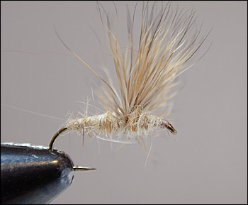 Deer Hair – Glasgow Angling Centre - Fishing Tackle