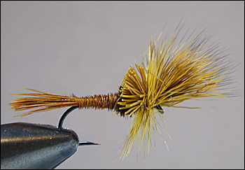 Fly-Tying Hair | Hair for Tying Flies | Fly Tying | Orvis