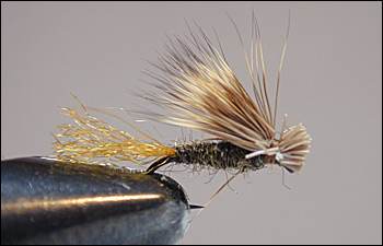 Realistic Caddis dry fly - Advanced Fly Tying on Vimeo
