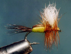 Caddis Dry Flies - The Fly Fishing Shop