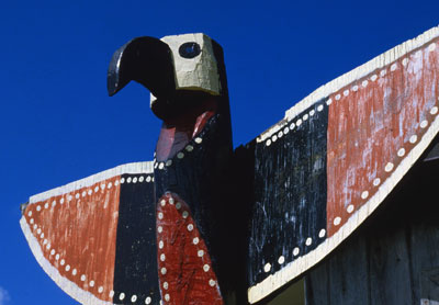 Cathedral Grove | Totem Pole Websites