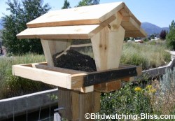 Bird Feeders | Wisteria Painting