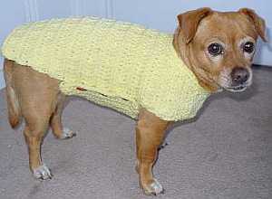 Dog Sweater Patterns (Raglan sleeve) | Mimi & Tara | Free