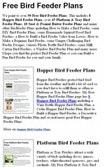 Make a bird feeder - BBC - Homepage