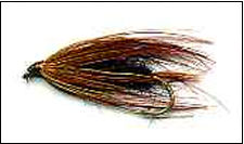 Lower Laguna Madre Fly Tiers Group - Rio Grande Valley Fly