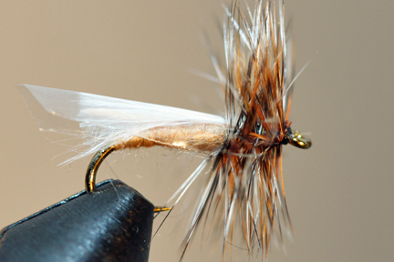 Dry Flies for Sale - $0.53 Dry fly patterns, Caddis Flies