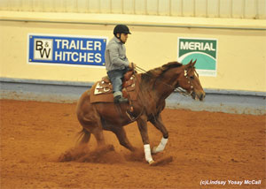 Slidin'Guide - Stay on Pattern to Win! NRHA and NRCHA