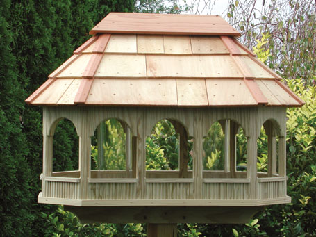 Make a bird feeder - BBC - Homepage