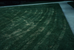 Fancy Lawn Mowing Techniques | eHow