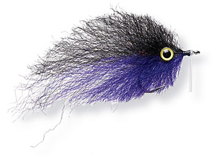 Tarpon | Saltwater Fly Fishing Blog