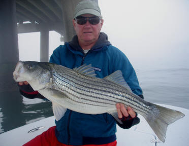 Fall patterns - FLW Fishing News - FLW - Bass Tournament