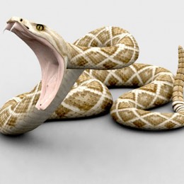 How to Draw Animals: Snakes and Their Patterns - Tuts+