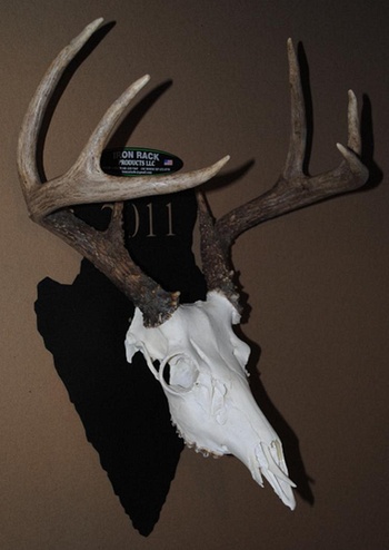 Deer statue - TheFind - TheFind - EVERY PRODUCT * EVERY STORE