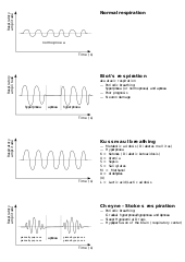 Tongue Patterns - Beckman Oral Motor