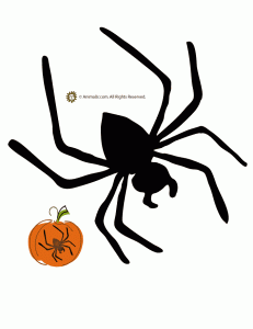 Dragon Pattern Pumpkin - Dot Com Women