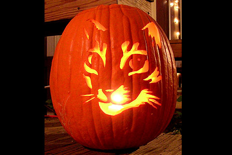 Easy and Awesome Pumpkin Carving Patterns