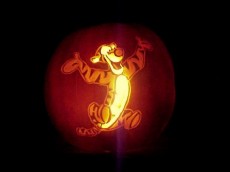 Bulls Head CO - Stoneykins Pumpkin Carving Patterns and