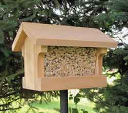 Finch and Thistle Bird Feeders at Wild Birds Forever