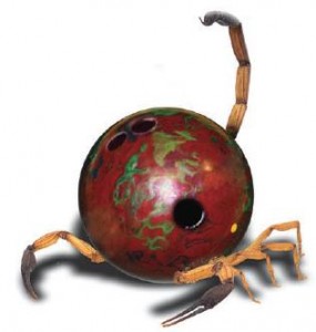 Bowling Lane Surfaces and How To Play Them