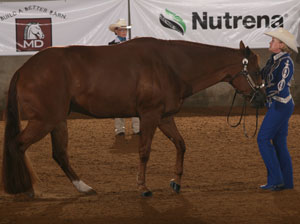 Whorlology - Horsemanship Journal