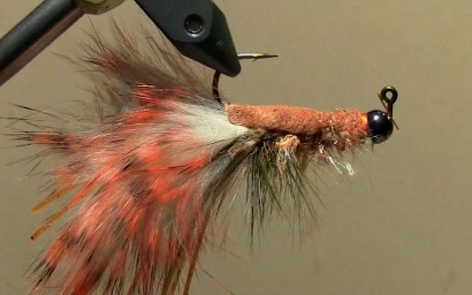 Crowsnest River | Alberta Fly Fishing Reports & Conditions